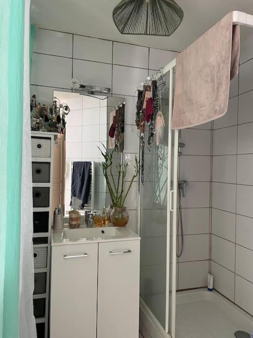 Petit Appartement Douillet Les Martres-de-Veyre Eksteriør billede